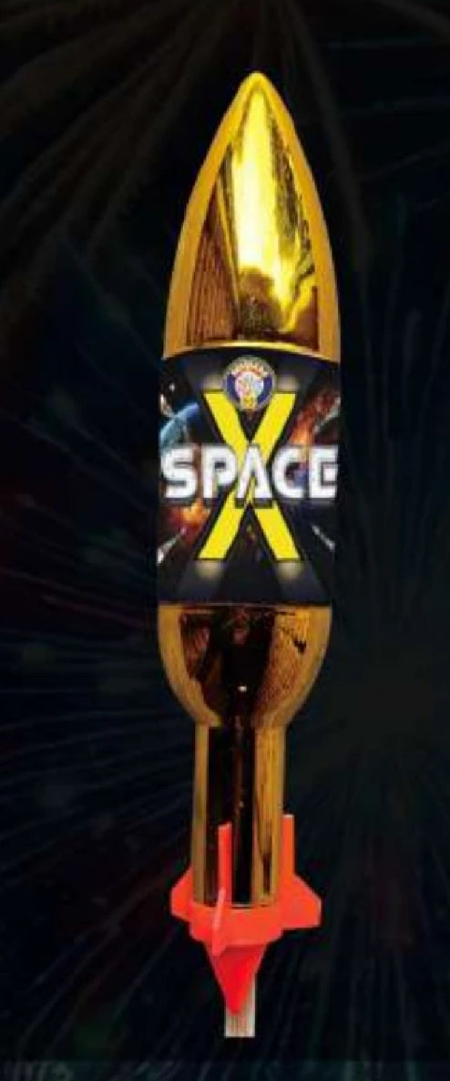 Space X