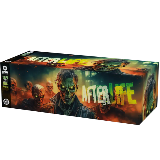 Afterlife