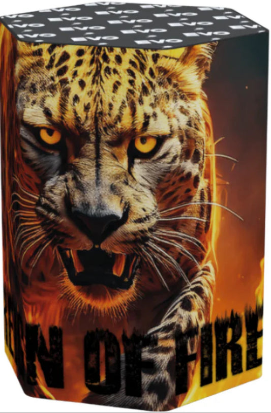 Reign of fire
